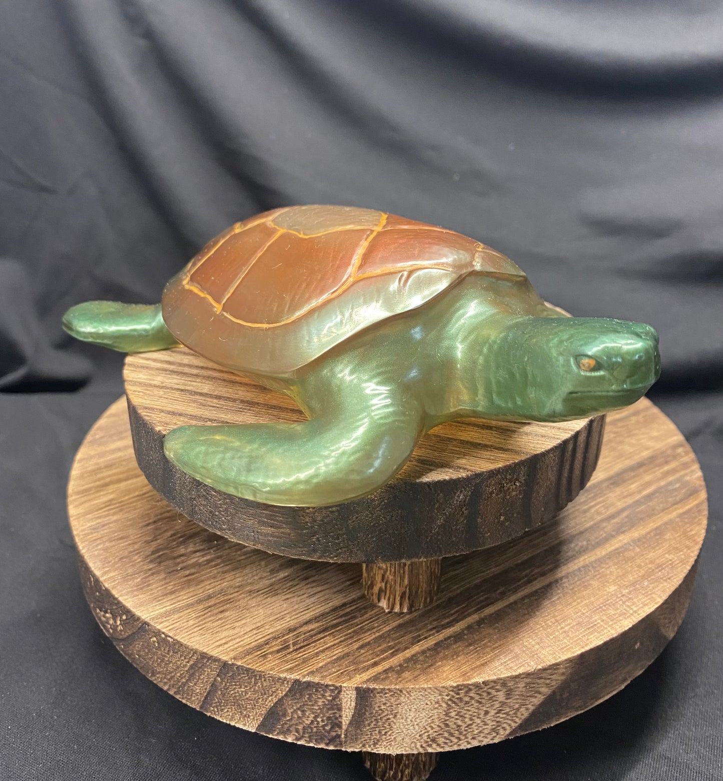 Medium Sea Turtle