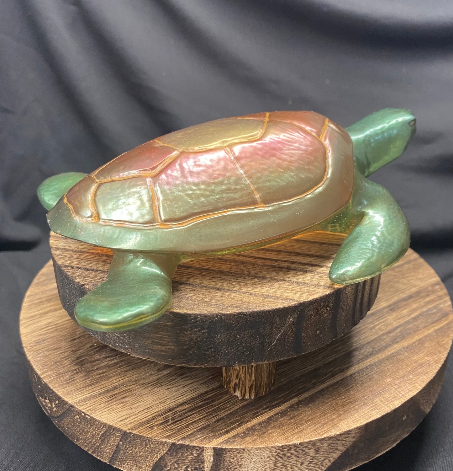 Medium Sea Turtle