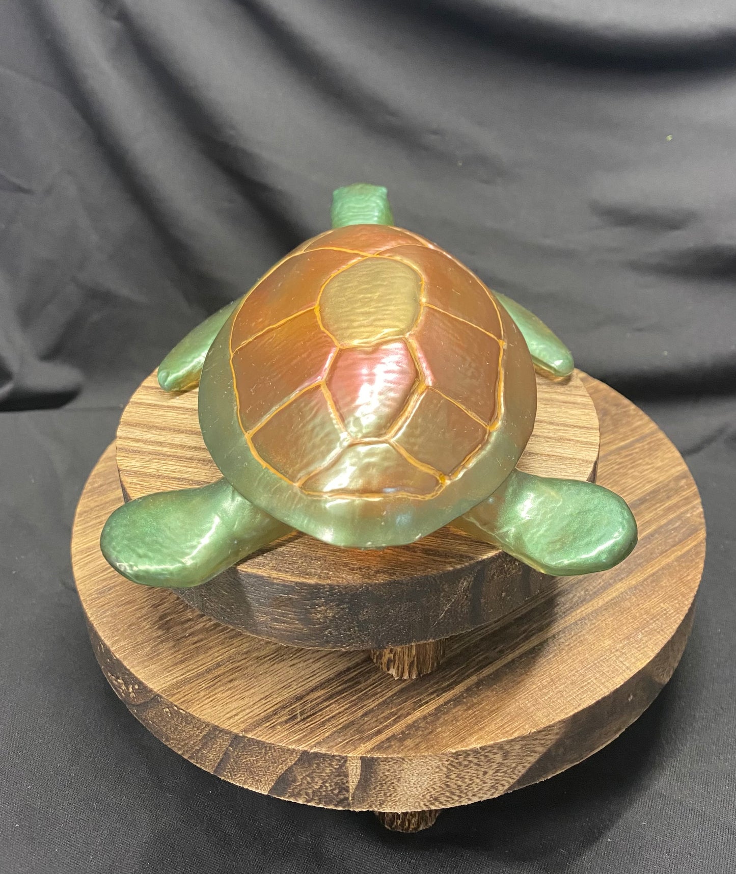 Medium Sea Turtle