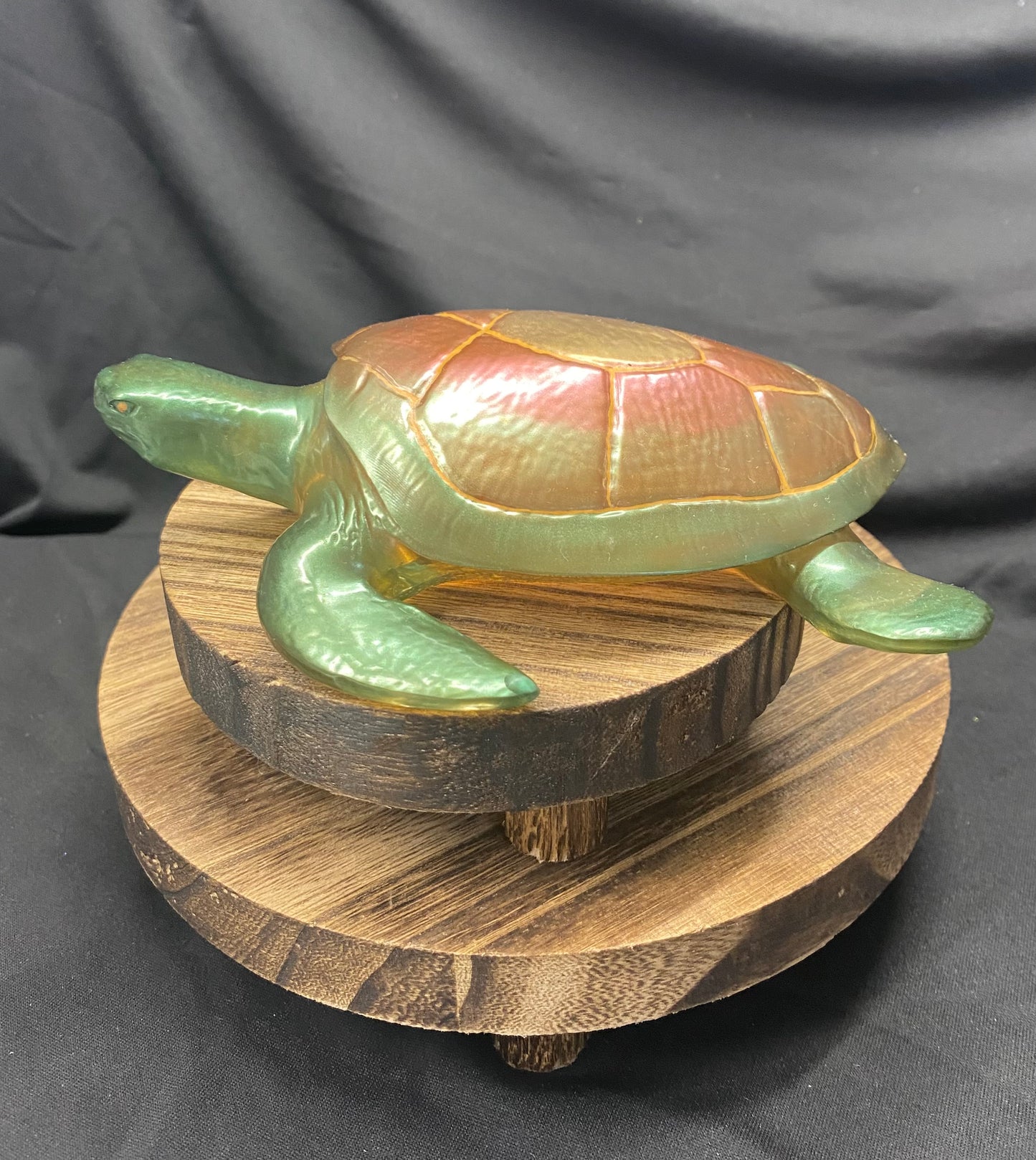 Medium Sea Turtle