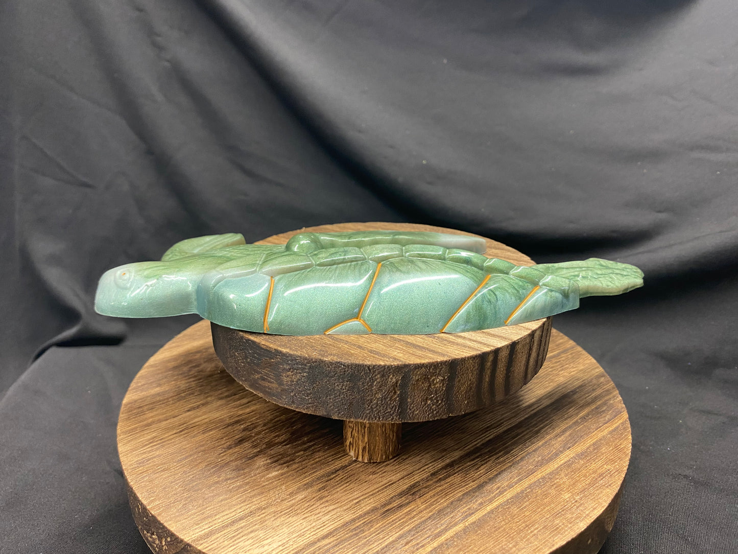 Marbled Green Sea Turtle