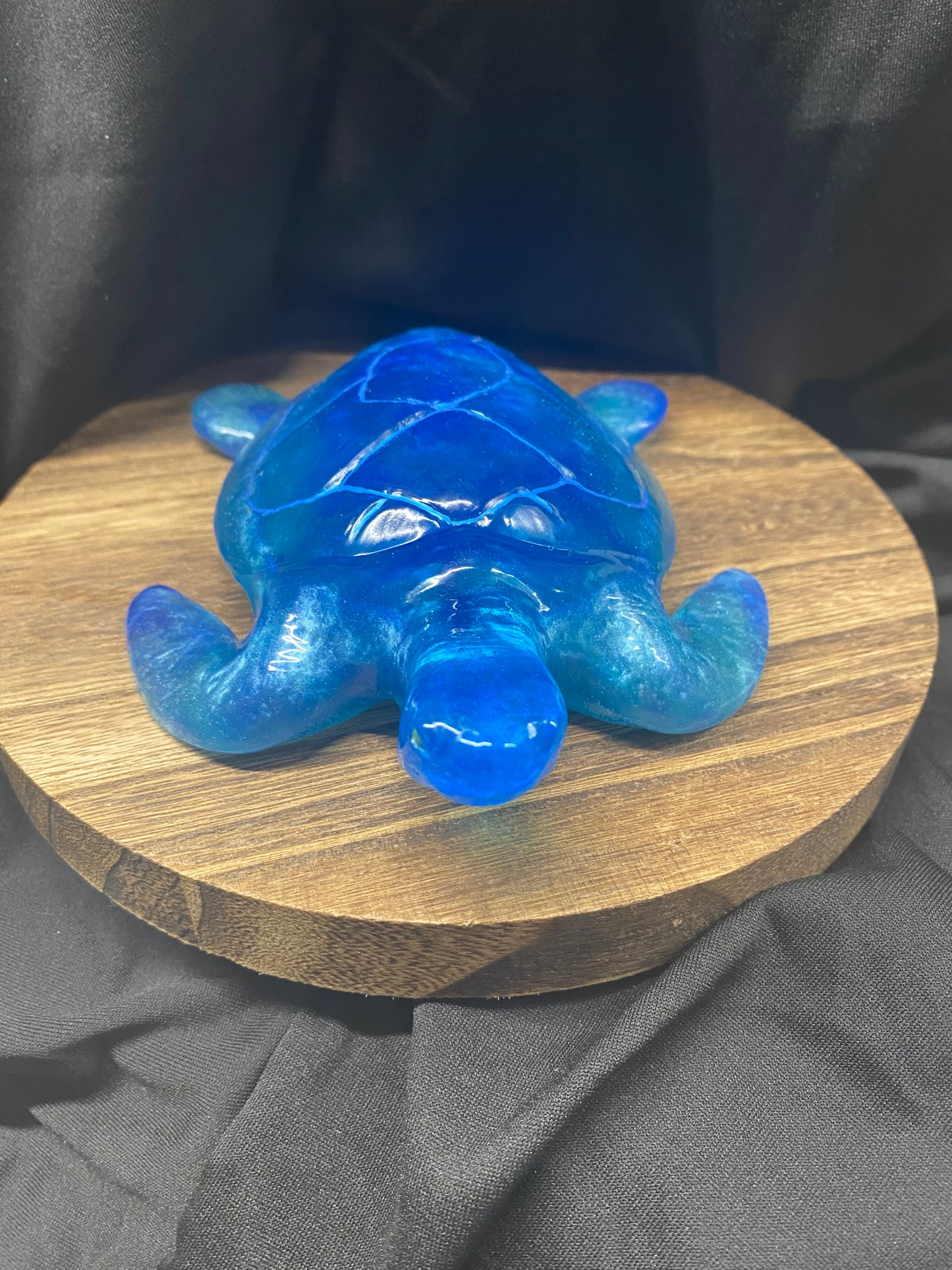 Still Lovable Blue Sea Turtle