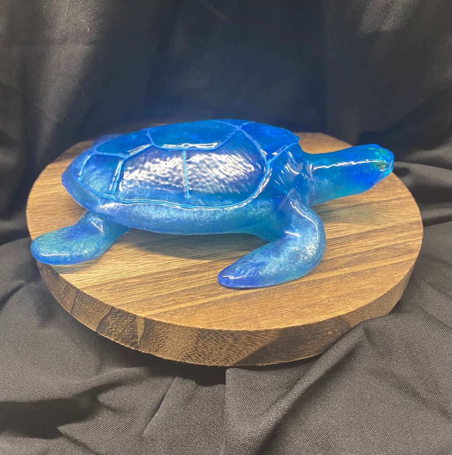 Still Lovable Blue Sea Turtle