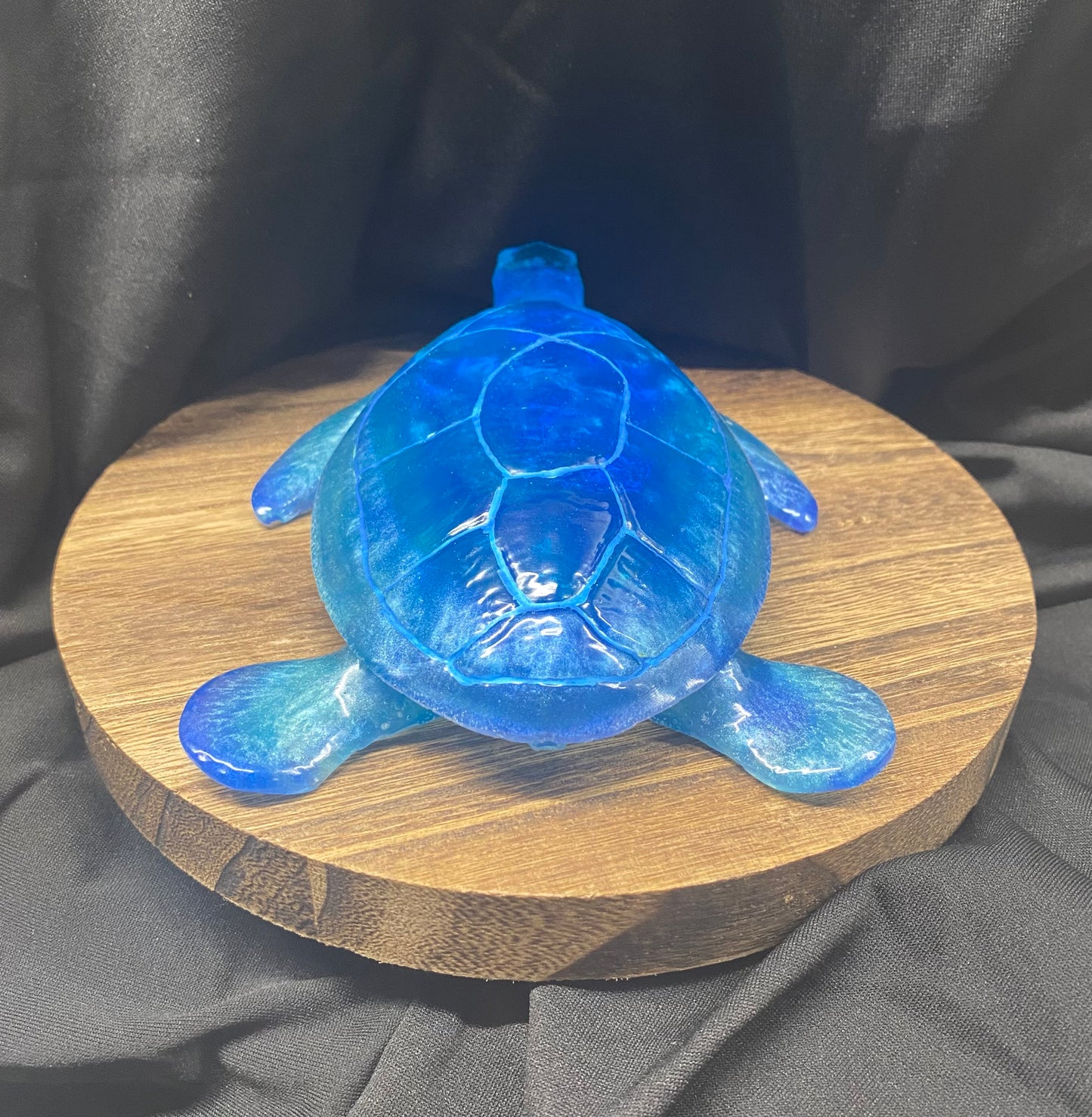 Still Lovable Blue Sea Turtle