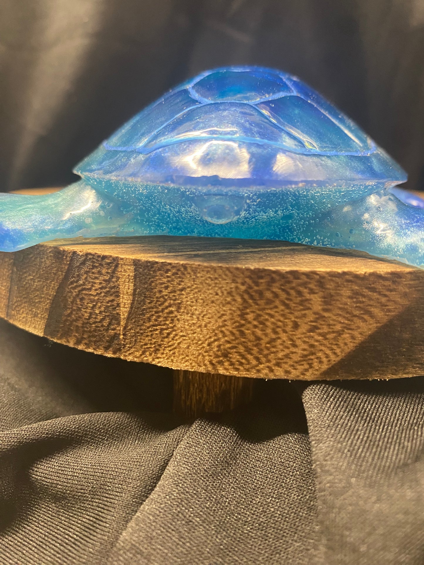 Still Lovable Blue Sea Turtle