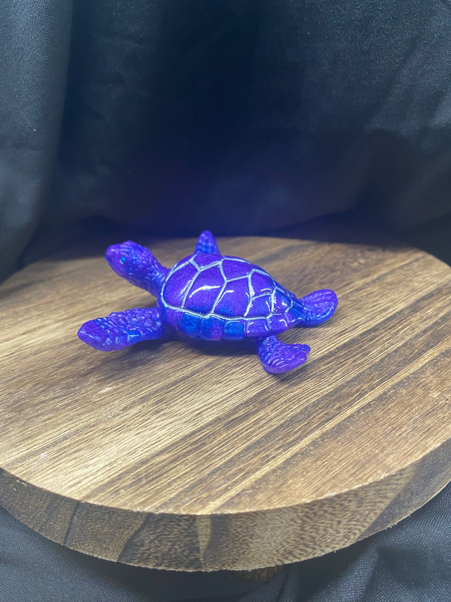Blue & Purple Sea Turtle