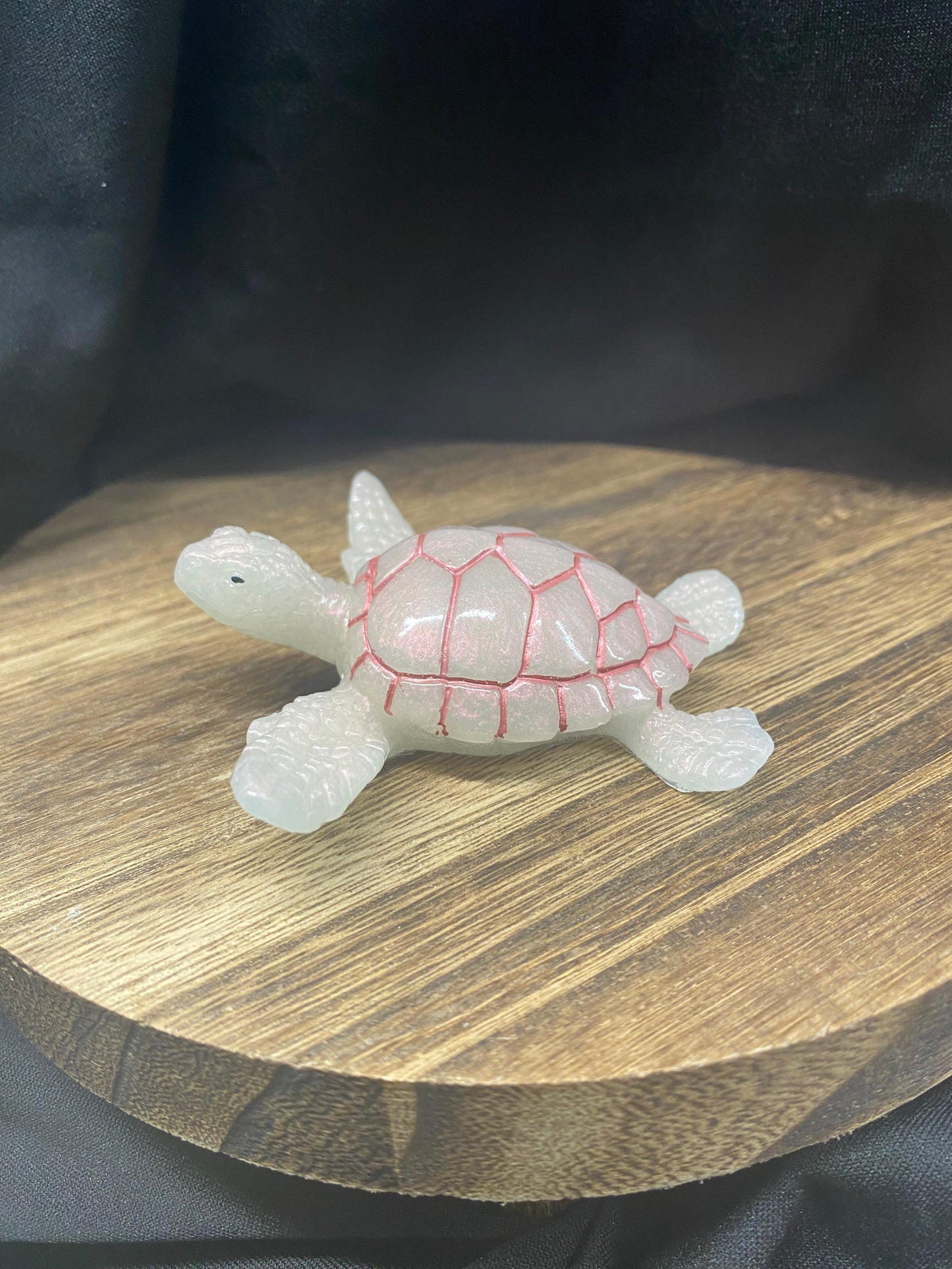 Pearl Sea Turtle