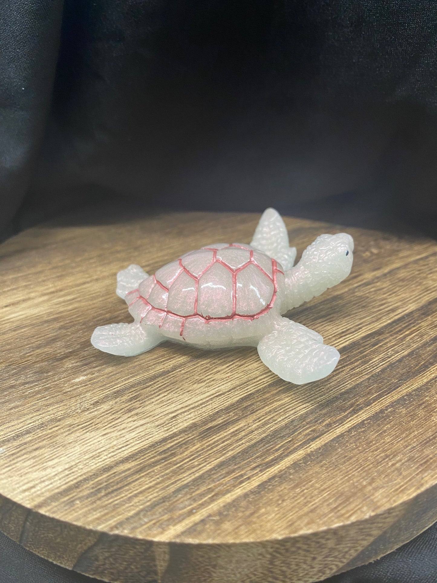 Pearl Sea Turtle