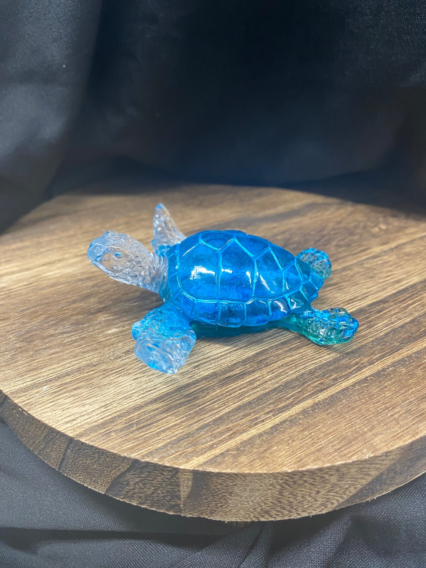 Clearly Blue Sea Turtle