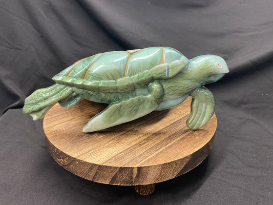 Marbled Green Sea Turtle
