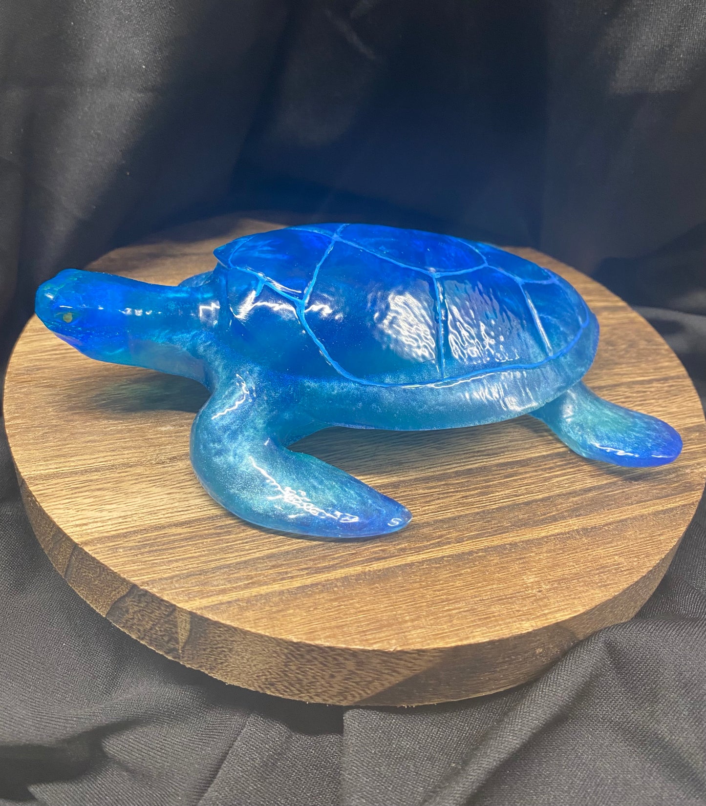 Still Lovable Blue Sea Turtle